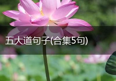 五大道句子(合集5句)
