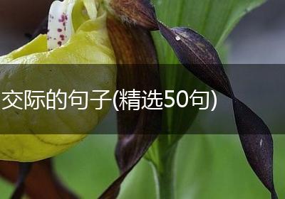 交际的句子(精选50句)
