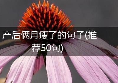 产后俩月瘦了的句子(推荐50句)