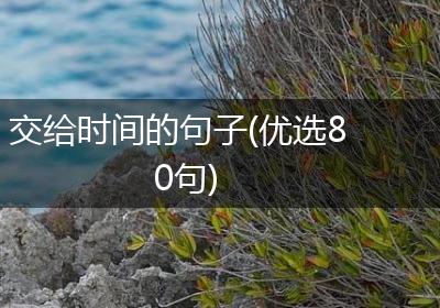 交给时间的句子(优选80句)