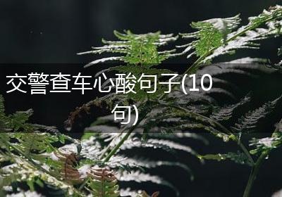 交警查车心酸句子(10句)