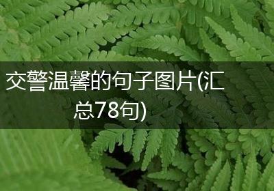 交警温馨的句子图片(汇总78句)