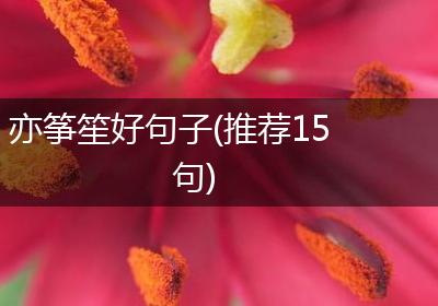 亦筝笙好句子(推荐15句)