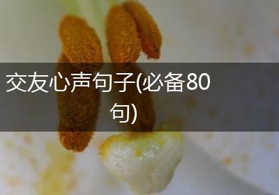 交友心声句子(必备80句)