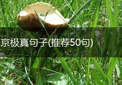 京极真句子(推荐50句)