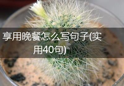 享用晚餐怎么写句子(实用40句)