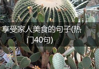 享受家人美食的句子(热门40句)