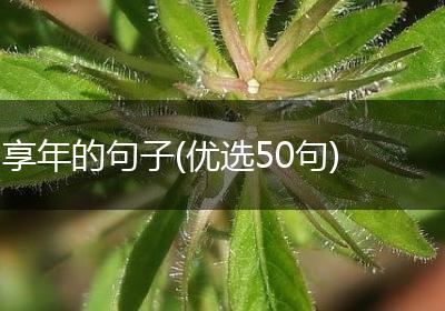 享年的句子(优选50句)