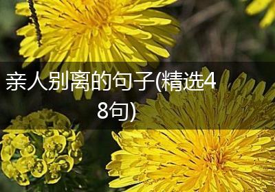 亲人别离的句子(精选48句)
