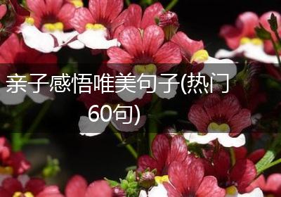 亲子感悟唯美句子(热门60句)