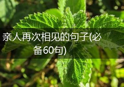 亲人再次相见的句子(必备60句)