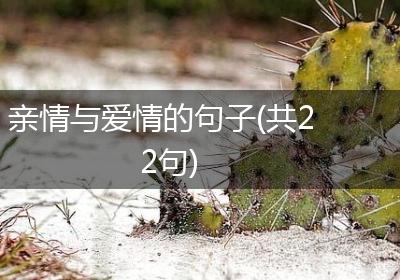 亲情与爱情的句子(共22句)
