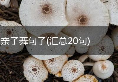 亲子舞句子(汇总20句)