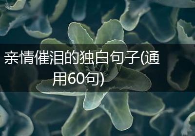 亲情催泪的独白句子(通用60句)