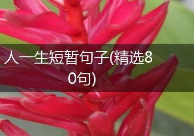 人一生短暂句子(精选80句)