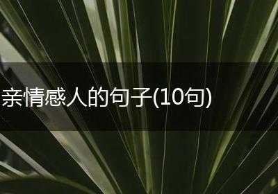 亲情感人的句子(10句)