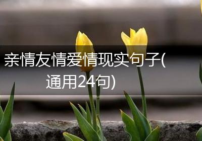 亲情友情爱情现实句子(通用24句)