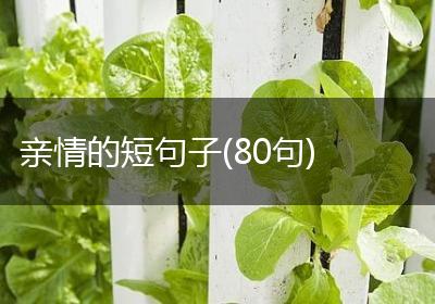 亲情的短句子(80句)