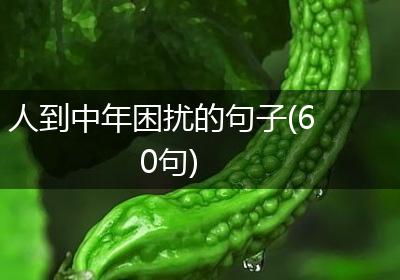 人到中年困扰的句子(60句)