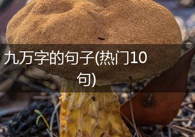 九万字的句子(热门10句)