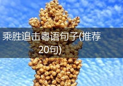 乘胜追击粤语句子(推荐20句)