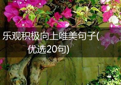 乐观积极向上唯美句子(优选20句)