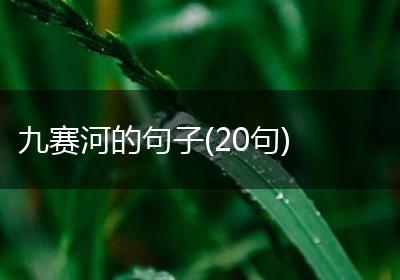 九赛河的句子(20句)