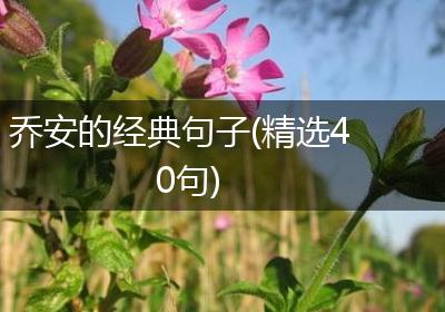 乔安的经典句子(精选40句)