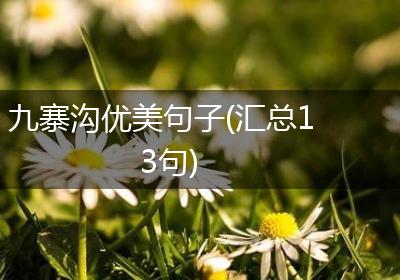 九寨沟优美句子(汇总13句)