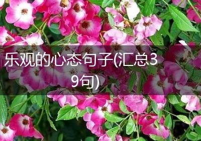 乐观的心态句子(汇总39句)