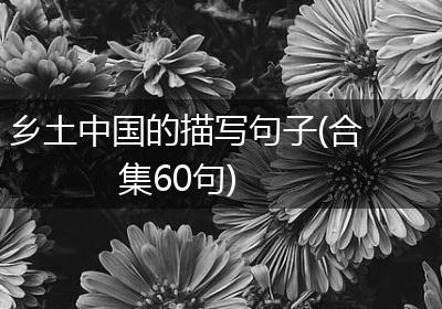 乡土中国的描写句子(合集60句)