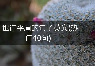也许平庸的句子英文(热门40句)
