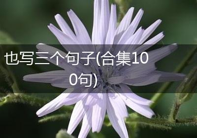 也写三个句子(合集100句)
