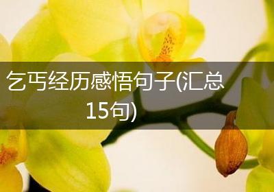 乞丐经历感悟句子(汇总15句)