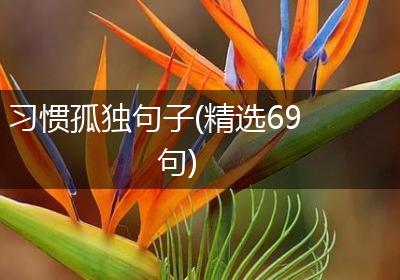 习惯孤独句子(精选69句)
