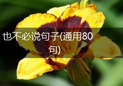 也不必说句子(通用80句)