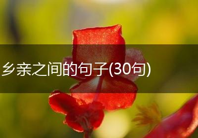 乡亲之间的句子(30句)