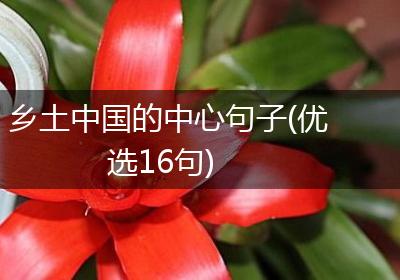 乡土中国的中心句子(优选16句)