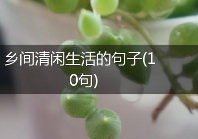 乡间清闲生活的句子(10句)