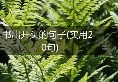 书出开头的句子(实用20句)