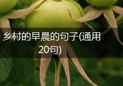 乡村的早晨的句子(通用20句)