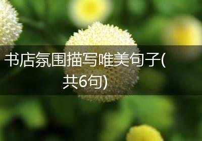 书店氛围描写唯美句子(共6句)