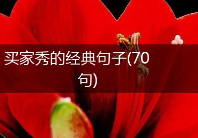 买家秀的经典句子(70句)