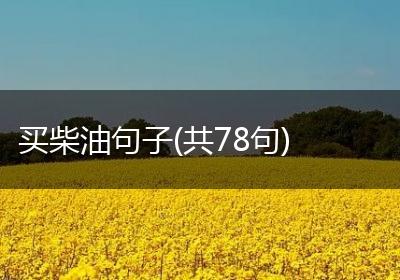 买柴油句子(共78句)
