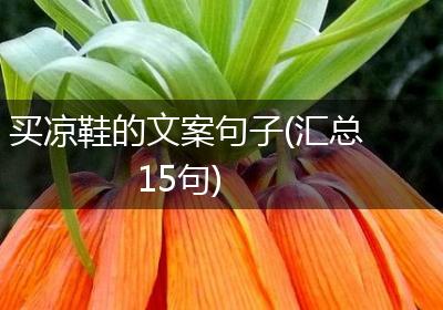 买凉鞋的文案句子(汇总15句)