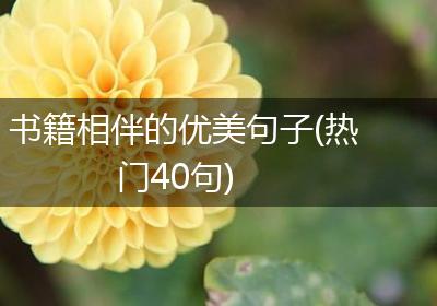书籍相伴的优美句子(热门40句)