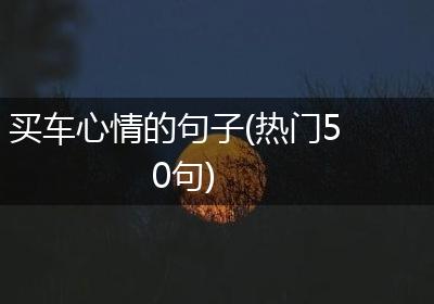 买车心情的句子(热门50句)