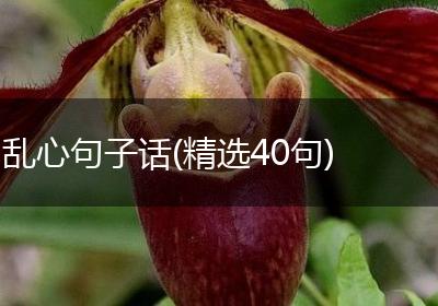 乱心句子话(精选40句)