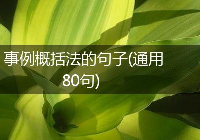 事例概括法的句子(通用80句)