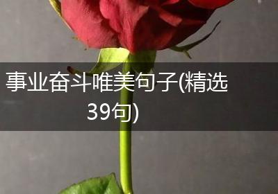 事业奋斗唯美句子(精选39句)